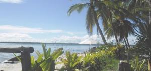 - une plage avec des palmiers et une étendue d'eau dans l'établissement Casa Amarela em Cacha Pregos, à Vera Cruz de Itaparica