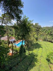 Gallery image of Vythiri Hill Palace in Vythiri