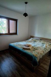 Giường trong phòng chung tại Apartments with parking space Privlaka, Zadar - 14833 +7 ảnh