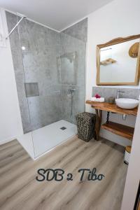 a bathroom with a shower with a sink and a mirror at Tibo bas de villa NEUF accès mer in Deshaies +16 photos