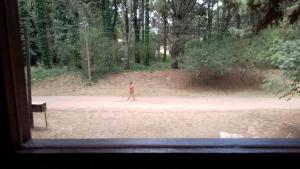 a person walking on a dirt road in a park at Okin 9 cristina in Costa del Este