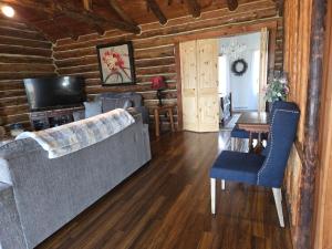 TV a/nebo společenská místnost v ubytování Charming Country Cabin- Cozy, Scenic View, HOT TUB