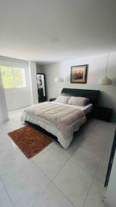 a bedroom with a large bed and a rug at Casa a 2 minutos de la playa en playa mendoza in Tubará