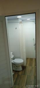 a bathroom with a toilet and a shower at Cazartes puma in Treinta y Tres