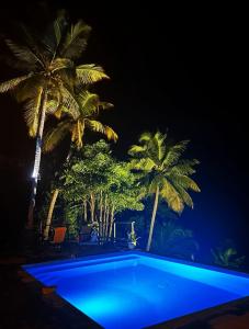 een zwembad met palmbomen in de nacht bij Villa Goyave in Le Robert +59 foto's