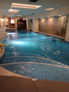 a large swimming pool in a hotel room at Capsule Inn Osaka (Male Only) in Osaka