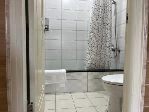 Un baño con inodoro y cortina de ducha. en 杉行居, en Lukang 21 fotos más