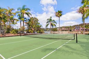 a tennis court with palm trees in the background at Isle Of Palms Resort in Gold Coast