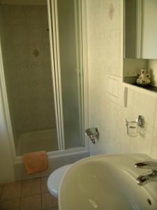een badkamer met een wastafel, een douche en een toilet bij Garni Rosa Delle Alpi in Gordola