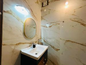 un baño con lavabo y espejo en Venice Riverside, en Jāmb