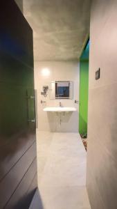 a bathroom with a sink and a green wall at Lake Breeze Cabana in Tissamaharama
