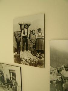 Hosté ubytování Garni Rosa Delle Alpi