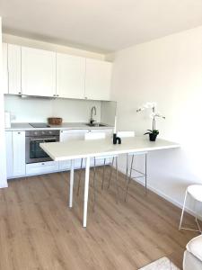 Kuchyň nebo kuchyňský kout v ubytování Brand new studio in Vienna