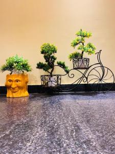 Vườn quanh Hotel New Pratap +15 ảnh