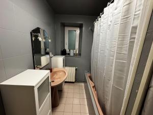 un bagno con doccia, lavandino e WC di NESST - Gîte Horse & Dog Friendly Cottage a Saint-Setiers Altre 29 foto