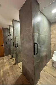 a bathroom with a shower stall and a toilet at Exclusive apartment a few steps from the FNSM in Aguascalientes