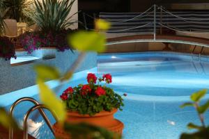 Bazén v ubytování Hotel Donatella Pinarella nebo v jeho okolí