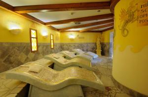 Spa und/oder Wellnesseinrichtungen in der Unterkunft VILA VITA Burghotel Dinklage