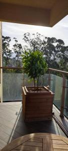 a potted tree in a wooden box on a balcony at Dreamland Oasis 14-704 apartment in Chakvi