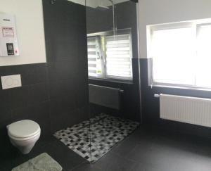 La salle de bains est pourvue de toilettes et d'une douche en verre. dans l'établissement Haus Kummer, à Selm