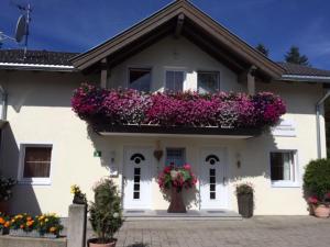 uma casa branca com caixas de flores em Appartement Horngacher em Scheffau am Wilden Kaiser