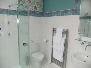 a bathroom with a toilet and a shower and a sink at FourRooms - Couples Only in Blackpool +37 photos