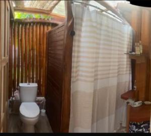 a bathroom with a toilet and a shower curtain at Fare Hinavainui in Orufara