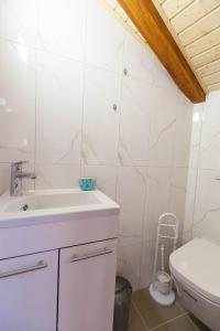 a bathroom with a sink and a toilet at Holiday Home NiKa in Omišalj