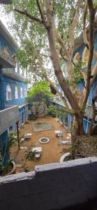 Κήπος έξω από το Hotel The Sun N Moon