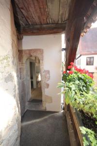 Vue extérieure d'un couloir de maison avec des fleurs dans l'établissement allio - das turmchalet, à Berching