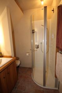une salle de bain avec une douche avec un lavabo et des toilettes dans l'établissement allio - das turmchalet, à Berching