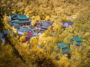 an aerial view of a building in a forest at Guo Bin Hotel in Danjiangkou