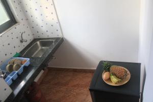 Kuchyň nebo kuchyňský kout v ubytování Cactus Guesthouse
