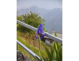 Fotografie z fotogalerie ubytování Nk brothers,Joshimath v destinaci Jyotirmath