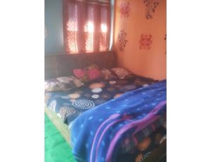 Fotografie z fotogalerie ubytování Nk brothers,Joshimath v destinaci Jyotirmath + 12 fotografií