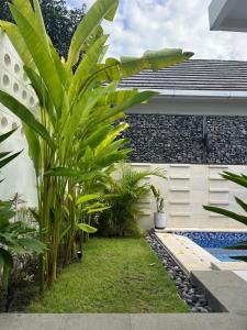 a courtyard with plants and a swimming pool at Villa Kelle - Uluwatu Nusa Dua in Nusa Dua