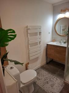 ein Badezimmer mit Toilette, Waschbecken und Spiegel in der Unterkunft La Casita - Gare Saint-Roch - Clim - Wi-Fi - TV in Montpellier + 23 Fotos