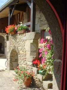 un muro di pietra con sopra vasi di fiori di Auberge de Keringar a Le Conquet