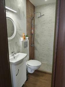 a bathroom with a toilet and a sink and a shower at Radomir Downtown 1-bedroom Apartment with balcony in Bŭnzareto