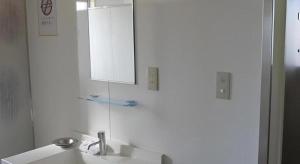 a bathroom with a white sink and a mirror at Business Hotel Oise in Nagoya