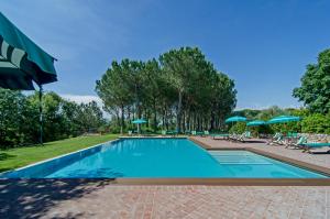 a swimming pool with chairs and umbrellas in a park at Agriturismo Il Selvino in Terricciola