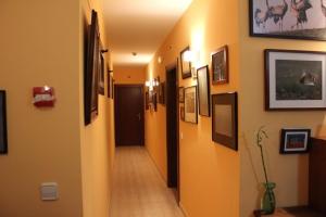 Fotografie z fotogalerie ubytování Allucant - Gallocanta v destinaci Gallocanta