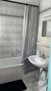 une salle de bain avec un lavabo, une douche et des toilettes dans l'établissement Ruhiges Apartment in Dresdner Neustadt, à Dresde