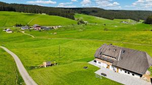 an overhead view of a house in a green field at Ferienhaus Wendelhof in Eisenbach