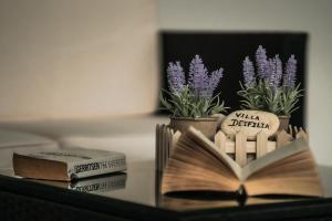 an open book on a table next to some books at Deifilia Villa in Pandokrátor