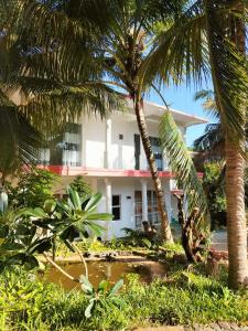 a white building with palm trees in front of it at Ocean Hill in Arugam Bay