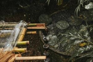 a close up of a water fountain with bamboo at Yidan Farmstay in Chiang Dao in Ban Mae Khon