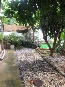 a garden with a tree and a gravel path at Cozy House in the center of Khon Kaen in Khon Kaen