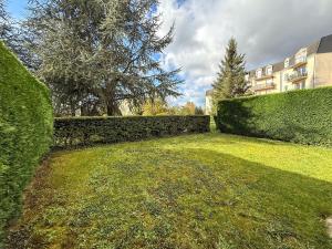 a hedge in a yard with a building in the background at Studio avec jardin et parking in Chartres