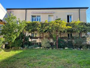 a house with a fence in front of a yard at A casa de nono in San Dorligo della Valle